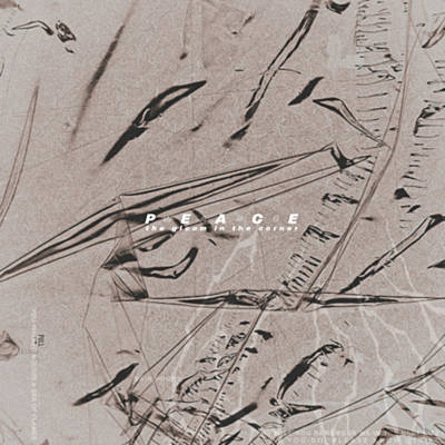 The Gloom In The Corner : Peace